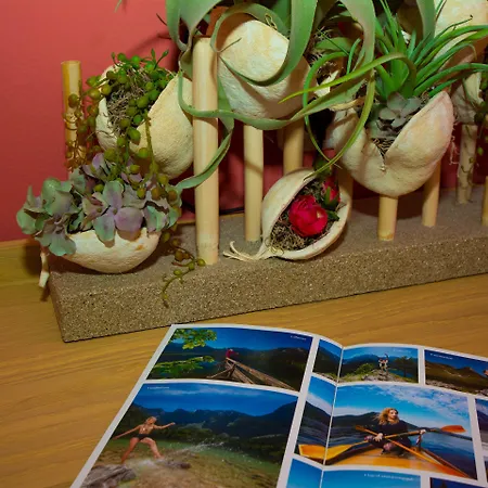 施拉夫迈勒特劳恩旅馆 招待所 埃本湖