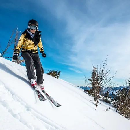 招待所 施拉夫迈勒特劳恩旅馆 3*