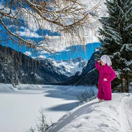 Schlafmeile Traunsee Πανσιόν