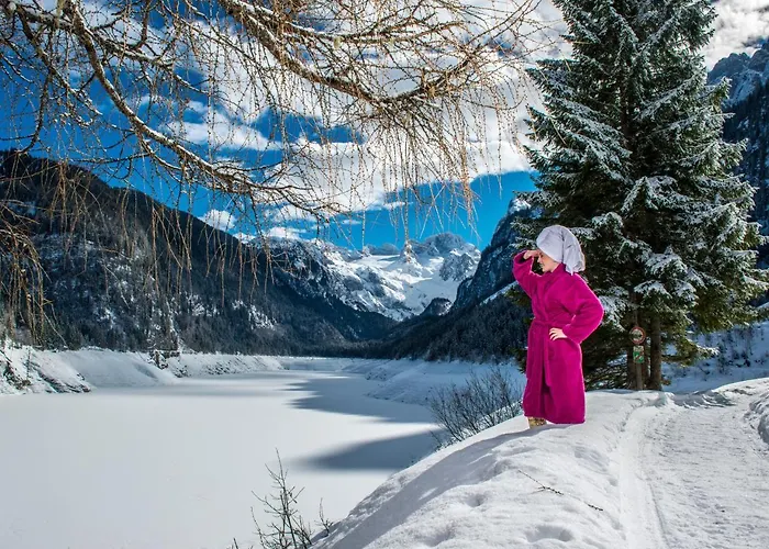 Schlafmeile Traunsee Konukevi